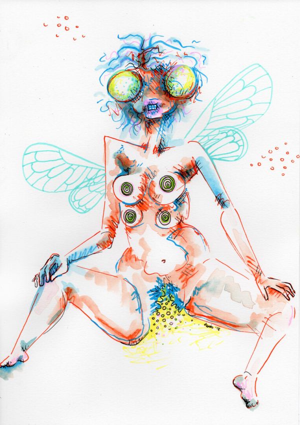 Fly